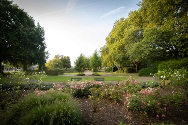pflanzen-sommer-garten-stadthalle-muelheim.jpg Pflanzen im Sommer im Stadthallengarten in Mülheim an der Ruhr
