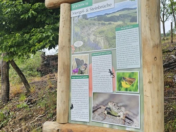 Naturlehrpfad Bonstapel Station 16 Schild am Naturlehrpfad Bonstapel über die Steinbrüche