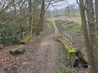 Weg Naturlehrpfad Erdiger Weg beim Naturlehrpfad, auf der rechten Seite ist ein Geländer