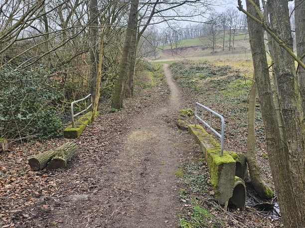 Weg Naturlehrpfad Erdiger Weg beim Naturlehrpfad, auf der rechten Seite ist ein Geländer