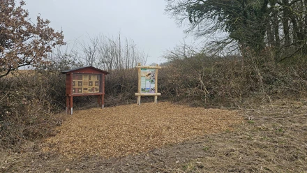 Stationen am Naturlehrpfad am Bonstapel Blick auf Infotafeln beim Naturlehrpfad