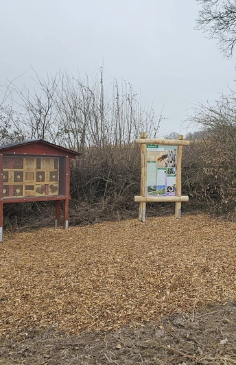 Stationen am Naturlehrpfad am Bonstapel Blick auf Infotafeln beim Naturlehrpfad