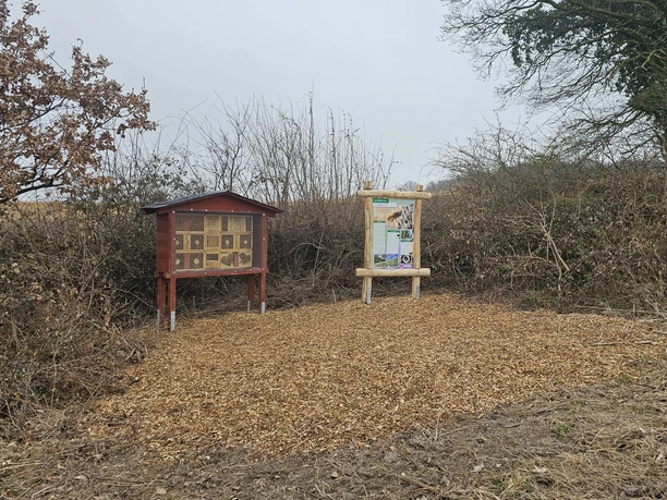 Stationen am Naturlehrpfad am Bonstapel Blick auf Infotafeln beim Naturlehrpfad