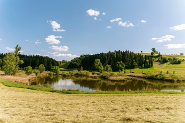Die Weiherlandschaft Ostergau bei Willisau