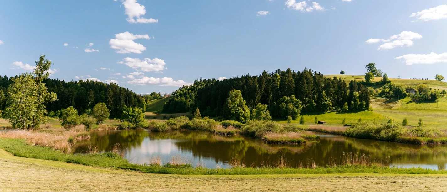 Die Weiherlandschaft Ostergau bei Willisau