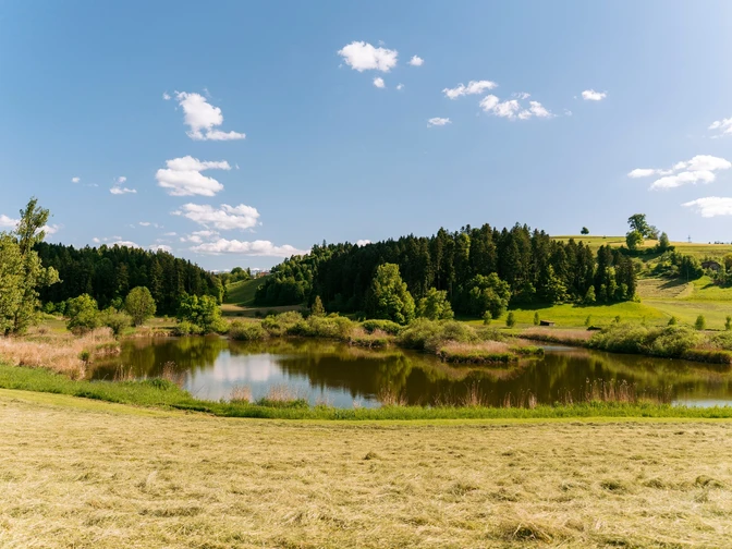 Die Weiherlandschaft Ostergau bei Willisau