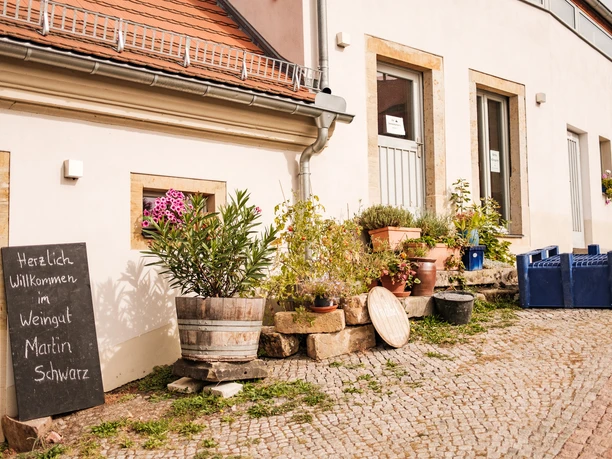 Weingut Martin Schwarz in Meißen Weingut Martin Schwarz in Meißen