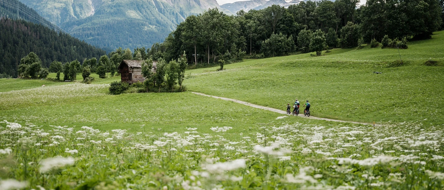 Familien Mountainbike Erlebnis in der Aletsch Areana