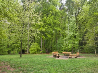 Lagerfeuerstelle_Sarah Schmidt.jpg Waldlichtung mit kreisförmiger Feuerstelle und mehreren Holzsitzbänken im Grünen