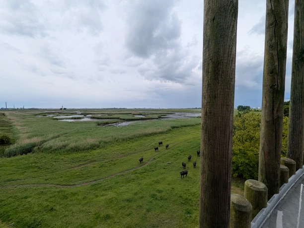 02 Aussichtsturm Luneplate (c) CC0 Taurean Reddeck.jpg Blick vom Aussichtsturm im Naturschutzgebiet Luneplate