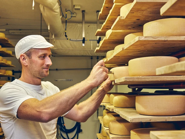 Schaukäserei Ammergauer Alpen Ein Mann prüft sorgfältig Käselaibe in einem Reifekeller auf Holzregalen.