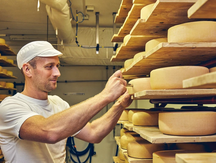 Schaukäserei Ammergauer Alpen Ein Mann prüft sorgfältig Käselaibe in einem Reifekeller auf Holzregalen.
