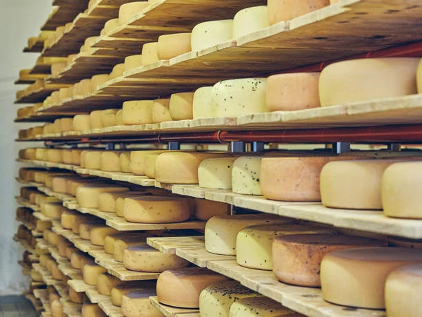 Schaukäserei Ammergauer Alpen Käselaibe auf Holzregalen in einem Reiferaum, arrangiert in Reihen.