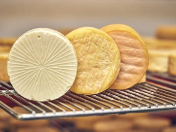 Schaukäserei Ammergauer Alpen Käsesorten reifen auf Metallrost in der Schaukäserei Ammergauer Alpen.