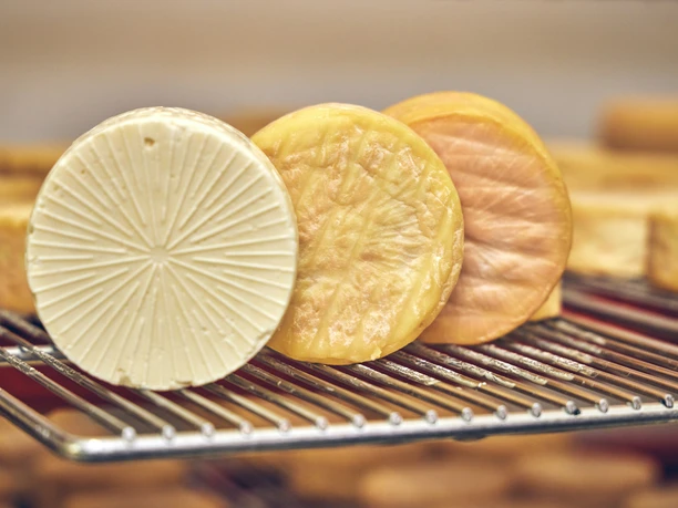 Schaukäserei Ammergauer Alpen Käsesorten reifen auf Metallrost in der Schaukäserei Ammergauer Alpen.