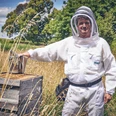 BienenFranz Ein Imker in Schutzkleidung steht neben einem Bienenstock auf einer Wiese.