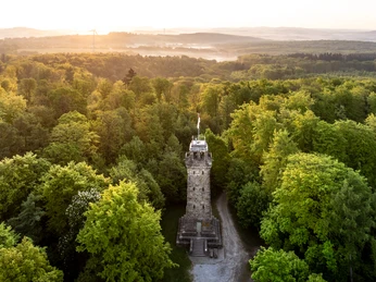 Wanderweg durch grünen Wald mit dem Bismarckturm in Herford und sanftem Sonnenaufgang im Hintergrund.