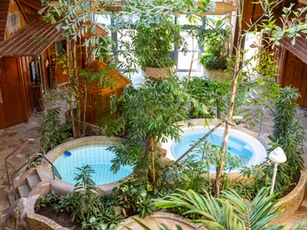 Tropische Pflanzen umgeben zwei runde Becken in einer rustikalen, holzverkleideten Wellness-Oase.