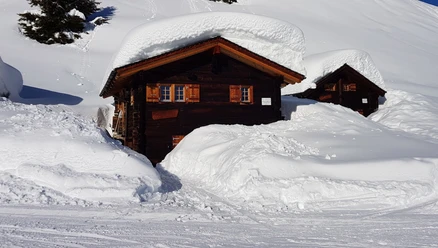 Schneeschuhwanderung Fiesch - Heimatt - Fiescheralp