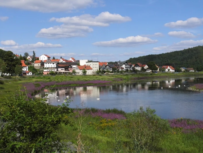 Seggenried in Herzhausen