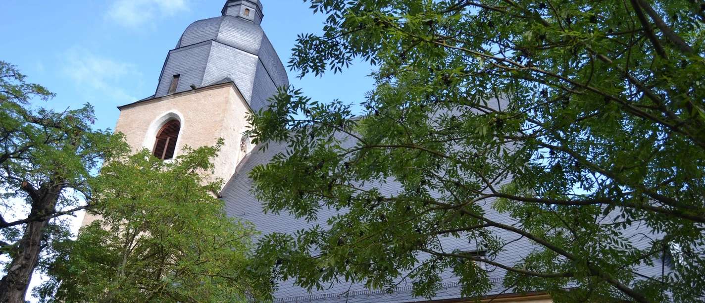 Udsigt udefra af Sankt Petri og Paulus Kirke, Eisleben Außenansicht St. Petri Pauli Kirche Eisleben