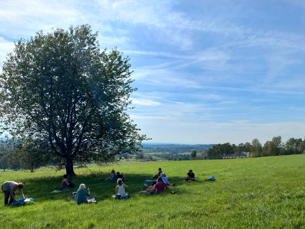 Yogawanderung Menschen picknicken unter einem großen Baum auf einer grünen Wiese mit weitem Blick über die Landschaft.