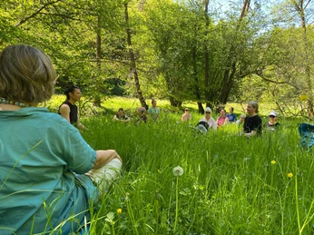 Yogawanderung Personengruppe sitzt entspannt im grünen Gras eines sonnigen, von Bäumen umgebenen Parks.