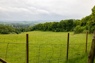 Borntalwiesen Grüne Wiesen mit Weidezaun, sanftem Hang und Blick auf Wald und die Landschaft bei Einbeck.