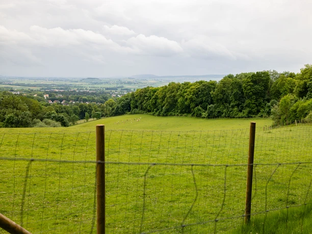 Borntalwiesen Grüne Wiesen mit Weidezaun, sanftem Hang und Blick auf Wald und die Landschaft bei Einbeck.