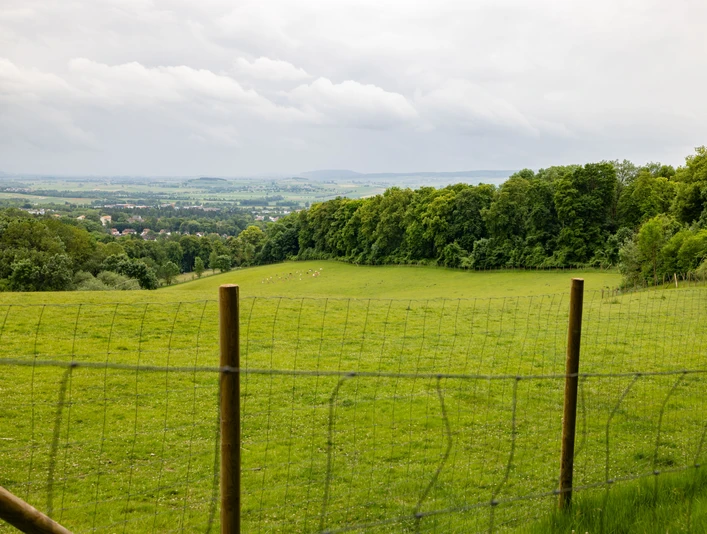 Borntalwiesen Grüne Wiesen mit Weidezaun, sanftem Hang und Blick auf Wald und die Landschaft bei Einbeck.Green meadows with a pasture fence, gentle slope and views of the forest and countryside near Einbeck.Grønne enge med græsningshegn, svag hældning og udsigt over skoven og landskabet nær Einbeck.Groene weiden met een omheining, lichte helling en uitzicht op het bos en het platteland bij Einbeck.