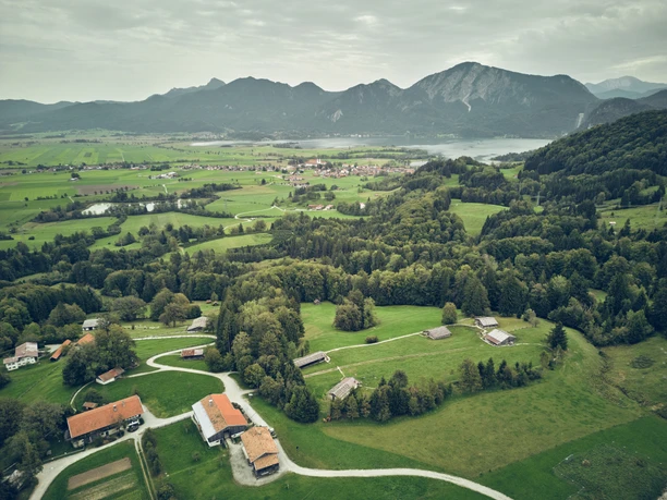 Glentleitner Wirtschaft & Brauerei Hügelige Landschaft mit Wäldern, Wiesen und Gebäuden unter bewölktem Himmel, Berge im Hintergrund.
