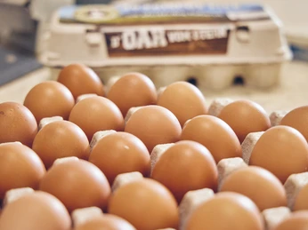 Promberger Hof Braune Hühnereier in einer Pappschachtel, frontal aufgenommen.