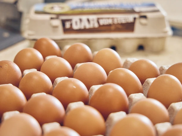 Promberger Hof Braune Hühnereier in einer Pappschachtel, frontal aufgenommen.
