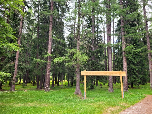 Oberwald_3.jpg
