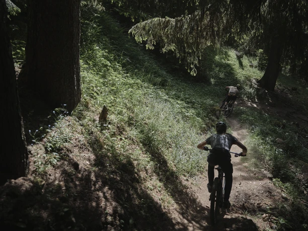 Mountainbiken im Sommer in der Aletsch Arena auf dem Enduro Riederalp Trail Mountainbiken im Sommer in der Aletsch Arena auf dem Enduro Riederalp Trail