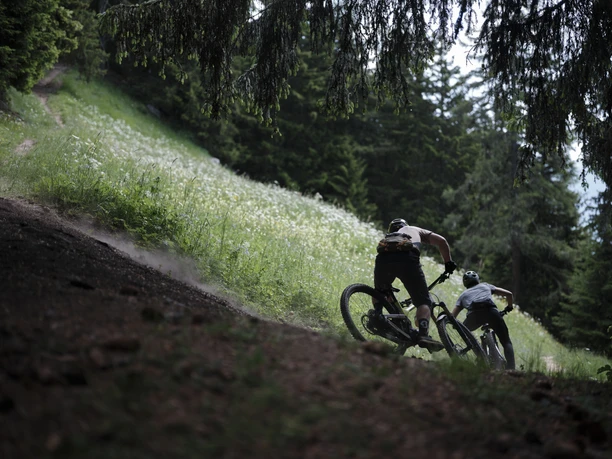 Mountainbiken im Sommer in der Aletsch Arena auf dem Enduro Riederalp Trail