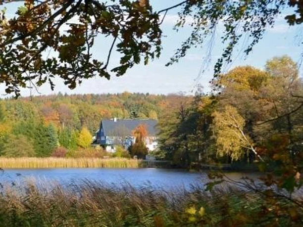 Ferienwohnungen "Zur Waldscheibe"
