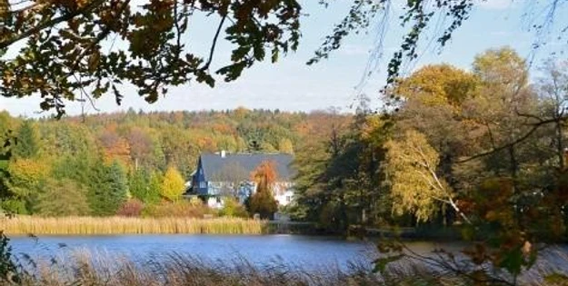 Ferienwohnungen "Zur Waldscheibe"