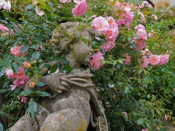 Rosenidylle im Innenhof