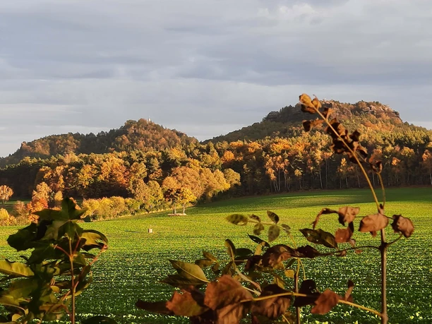 Blick zum Gohrisch und zum Papststein