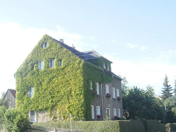 Das grüne Haus im Sommer