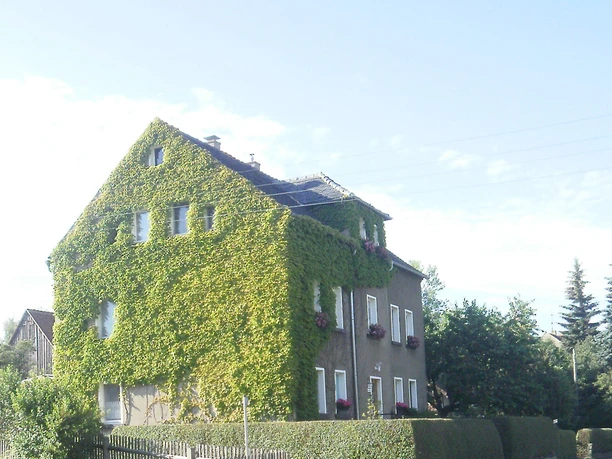 Das grüne Haus im Sommer Das grüne Haus im Sommer