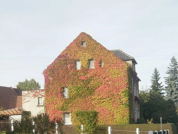 Unser Haus im Herbst Unser Haus im Herbst