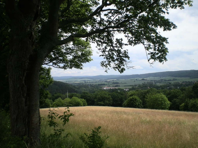 Blick auf Bad Gandersheim