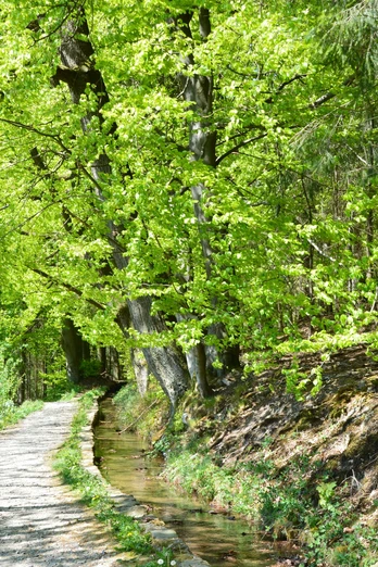 Wandern A2 Stadtwasser Quer