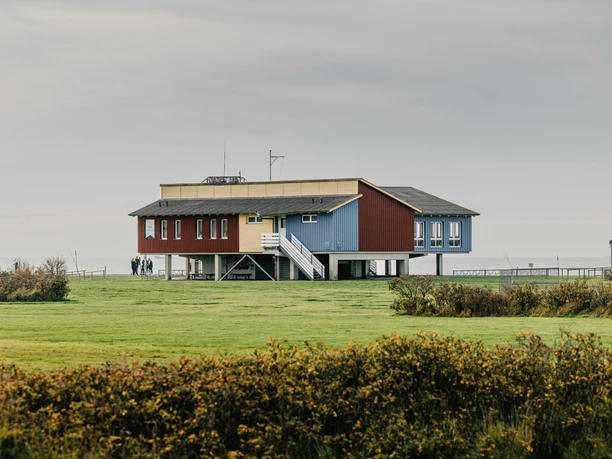 Badestelle Husum Dockkoog-Spitze Wunderbar