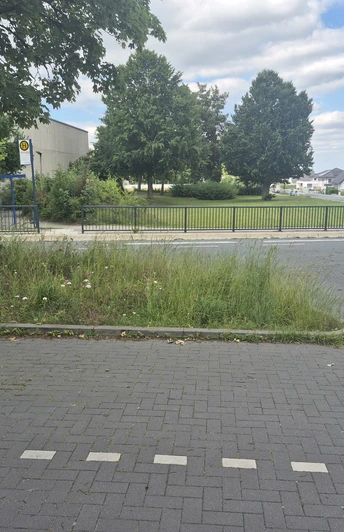 Wanderung durch Feld und Flur Rüthen - Start und Ende