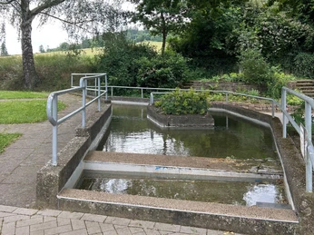 Tretbecken mit Bepflanzung in der Mitte