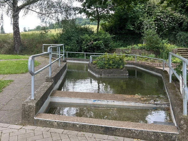 Tretbecken mit Bepflanzung in der Mitte