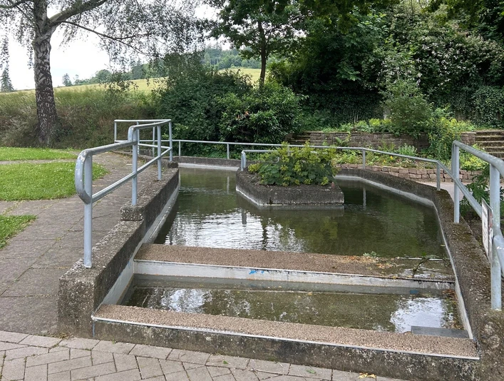 Tretbecken mit Bepflanzung in der Mitte